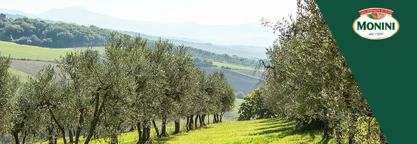 Online le nuove Masterclass di Mo’ e la favola dell’olio