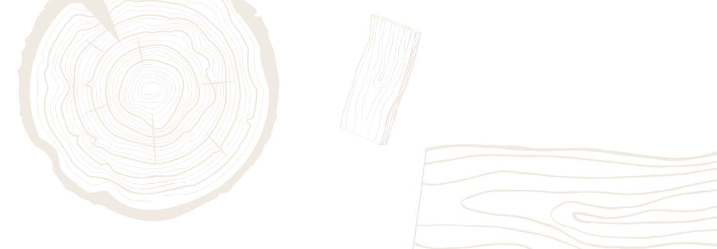 Educhiamo alla tutela delle foreste