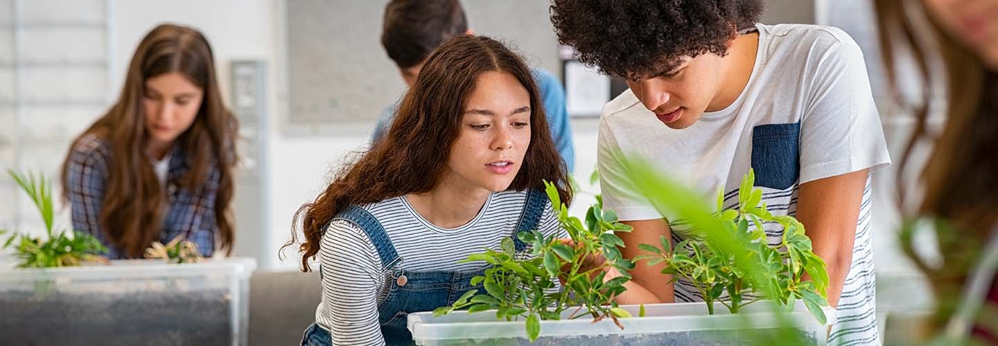 Bando "Laboratori green, sostenibili e innovativi per le scuole del secondo ciclo": destinatari, modalità di iscrizione e scadenze