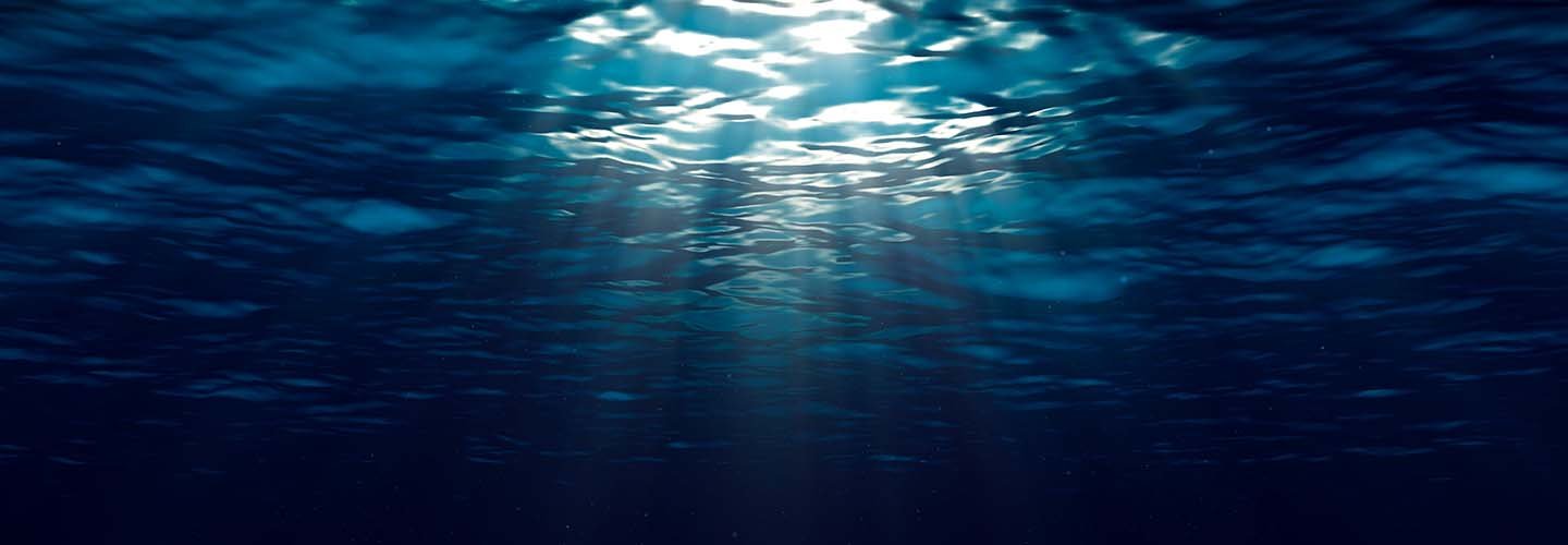 Festeggiamo insieme la Giornata Mondiale degli Oceani