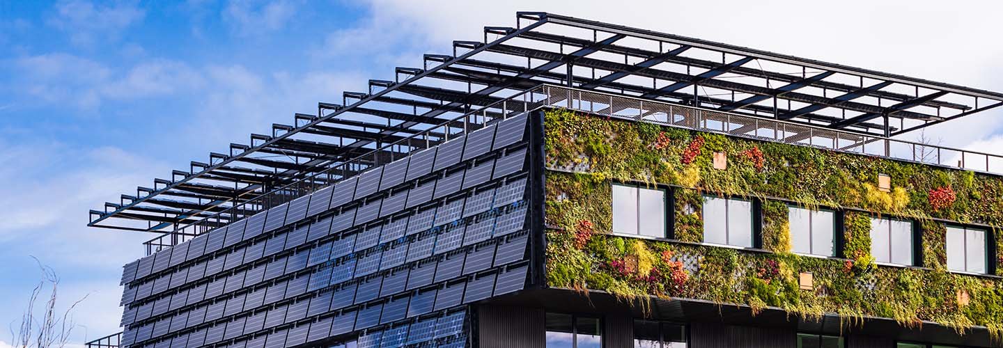 Green School: quando gli edifici scolastici diventano sostenibili