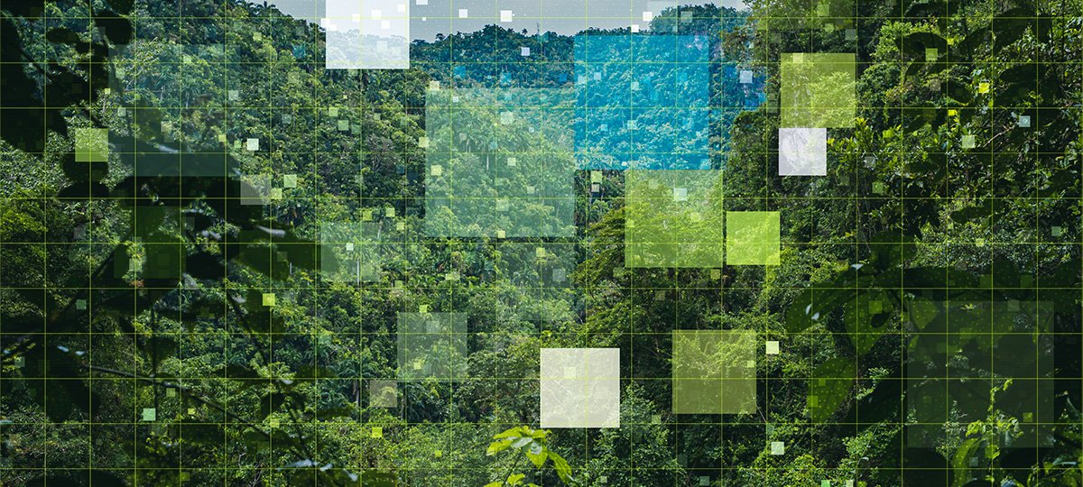 Skills Outlook 2023: le competenze più richieste dal mercato del lavoro secondo OCSE