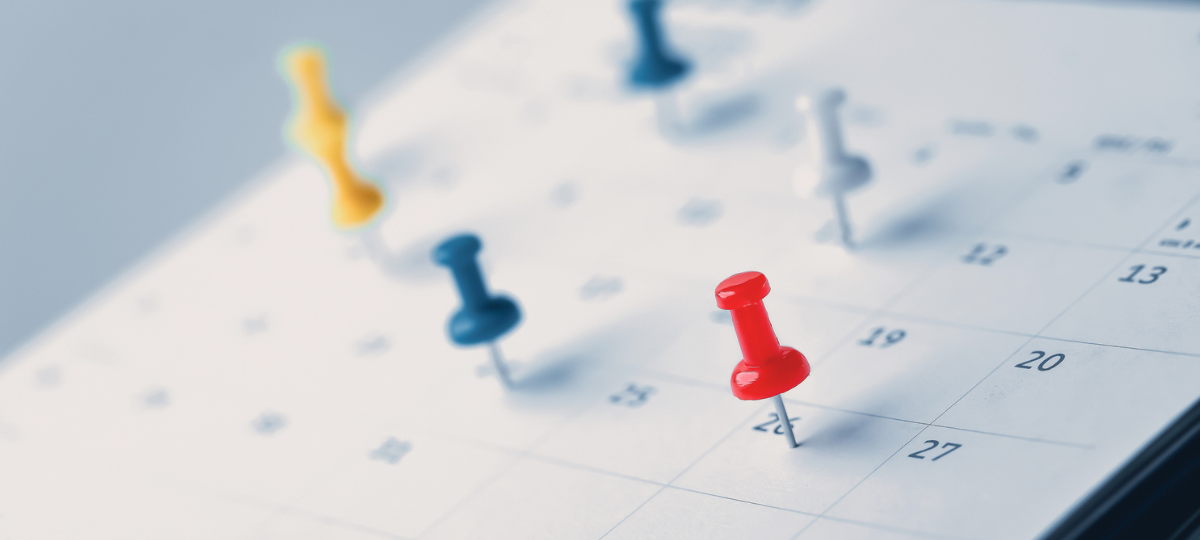 Il ritorno sui banchi: il calendario scolastico 24/25 delle scuole italiane