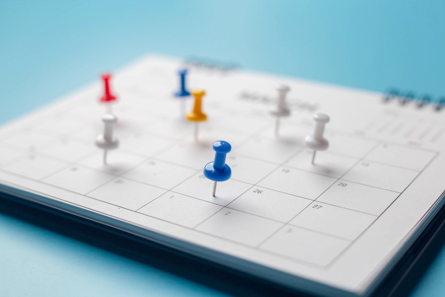 Calendario scolastico 2025/2026: festività regione per regione