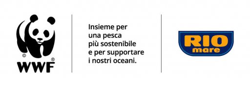 dd7ee363d7bd5e67fce0d3d239d1187b255ed2fa.jpeg