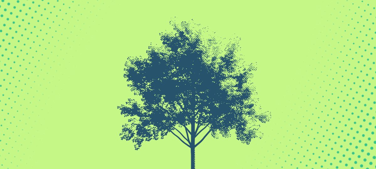 Grafica di copertina del percorso di formazione scuola lavoro impronta futura con bicicletta verde